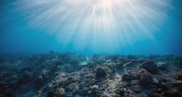 Ocean Acidification