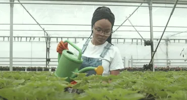 A woman waters some plants