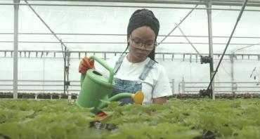 A woman waters some plants