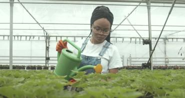 A woman waters some plants