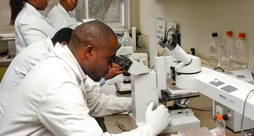 New Commonwealth network to support knowledge exchange on medicines and vaccine procurement 