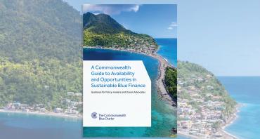 Cover image of the Availability of Blue Finance