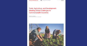 Cover of Hinrich report