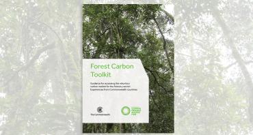 Cover image of Forest Carbon Toolkit