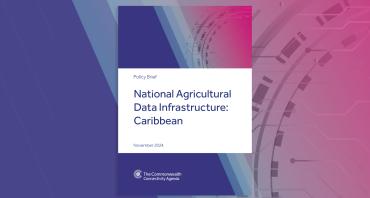 Cover image of CCA Policy Brief - Caribbean