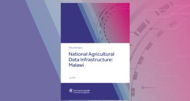 Cover image of CCA Policy Brief A5
