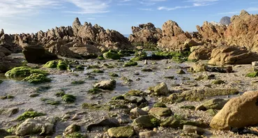 Rocks, water, Western Cape, South Africa