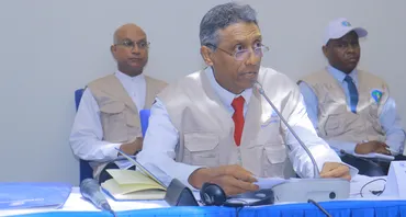 Head of Commonwealth Observer Group and former President of Seychelles, HE Danny Faure