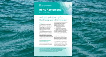 Cover image of the second BBNJ Agreement briefing note