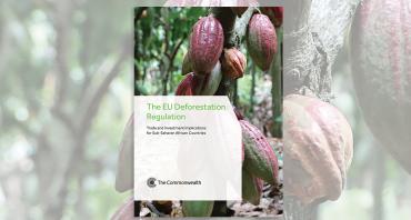 Cover image of EU Deforestation Regulation