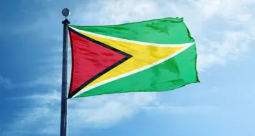 Guyana flag