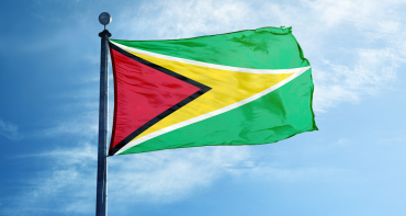 Guyana flag