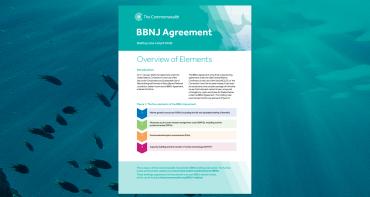 Cover image of BBNJ 4
