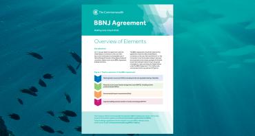 Cover image of BBNJ 4