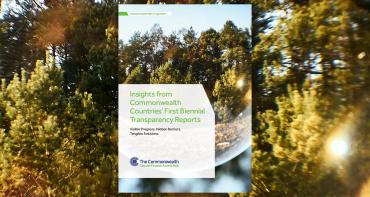 cover image of the 'Insights from Commonwealth Countries’ First Biennial Transparency Reports' publication