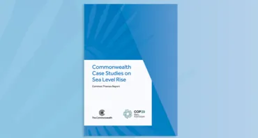 Cover image of Sea Level Rise companion paper