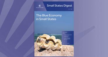 The Blue Economy in Small States
