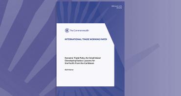 Dynamic Trade Policy for Small Island Developing States