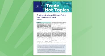 Trade Implications of Climate Policy after the Paris Outcome