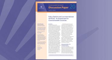 Policy Options and Low International Oil Prices