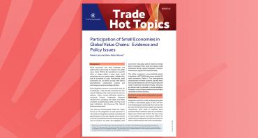 Participation of Small Economies in Global Value Chains