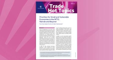 Priorities for Small and Vulnerable Economies in the WTO