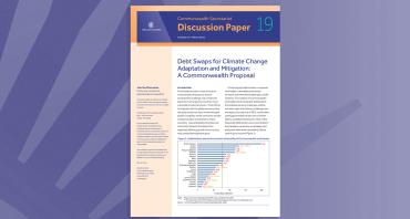 Debt Swaps for Climate Change Adaptation and Mitigation