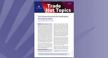 The Oceans Economy for Small Island Developing States