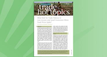 What Role for Trade Policies in Low-income and Small Economies When Food Prices Spike?