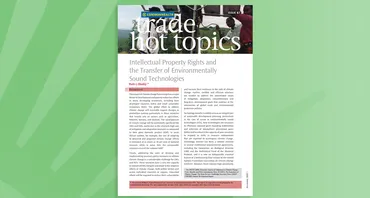 Intellectual Property Rights and the Transfer of Environmentally Sound Technologies