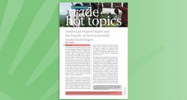 Intellectual Property Rights and the Transfer of Environmentally Sound Technologies