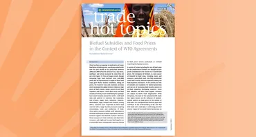 Biofuel Subsidies and Food Prices in the Context of WTO Agreements