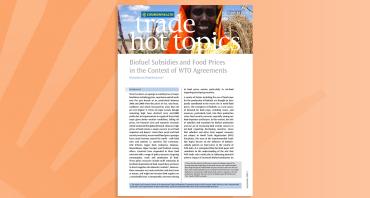 Biofuel Subsidies and Food Prices in the Context of WTO Agreements