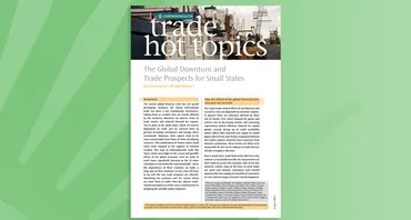 The Global Downturn and Trade Prospects for Small States