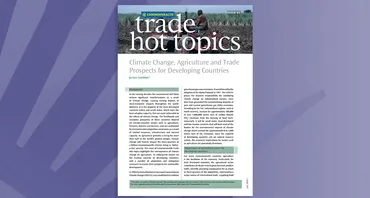 Climate Change, Agriculture and Trade Prospects for Developing Countries