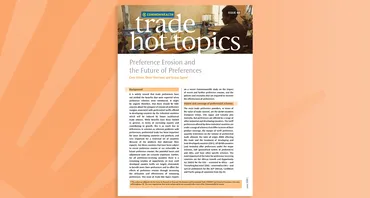 Preference Erosion and the Future of Preferences