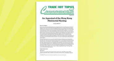 An Appraisal of the Hong Kong Ministerial Meeting