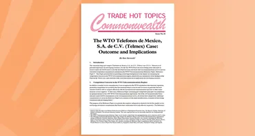 The WTO Telefonos de Mexico, S.A. de C.V. (Telmex) Case