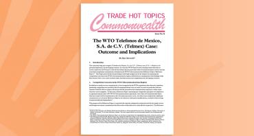 The WTO Telefonos de Mexico, S.A. de C.V. (Telmex) Case