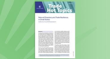 Natural Disasters and Trade Resilience in Small States