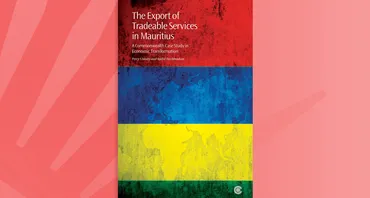 The Export of Tradeable Services in Mauritius
