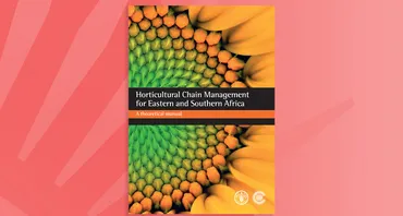 Horticultural Chain Management for Eastern and Southern Africa: A Theoretical Manual
