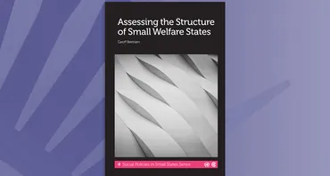 Assessing the Structure of Small Welfare States