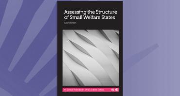 Assessing the Structure of Small Welfare States