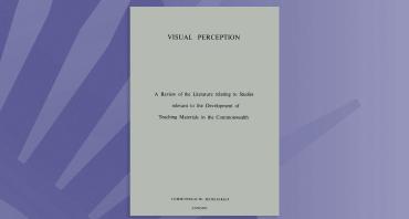 Visual Perception