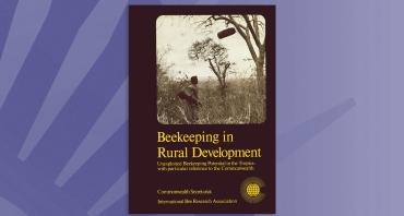 Beekeeping in Rural Development
