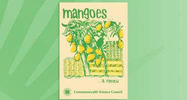 Mangoes