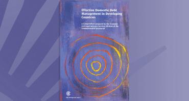 Effective Domestic Debt Management in Developing Countries