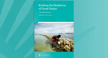 Building the Resilience of Small States