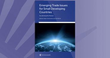 Emerging Trade Issues for Small Developing Countries